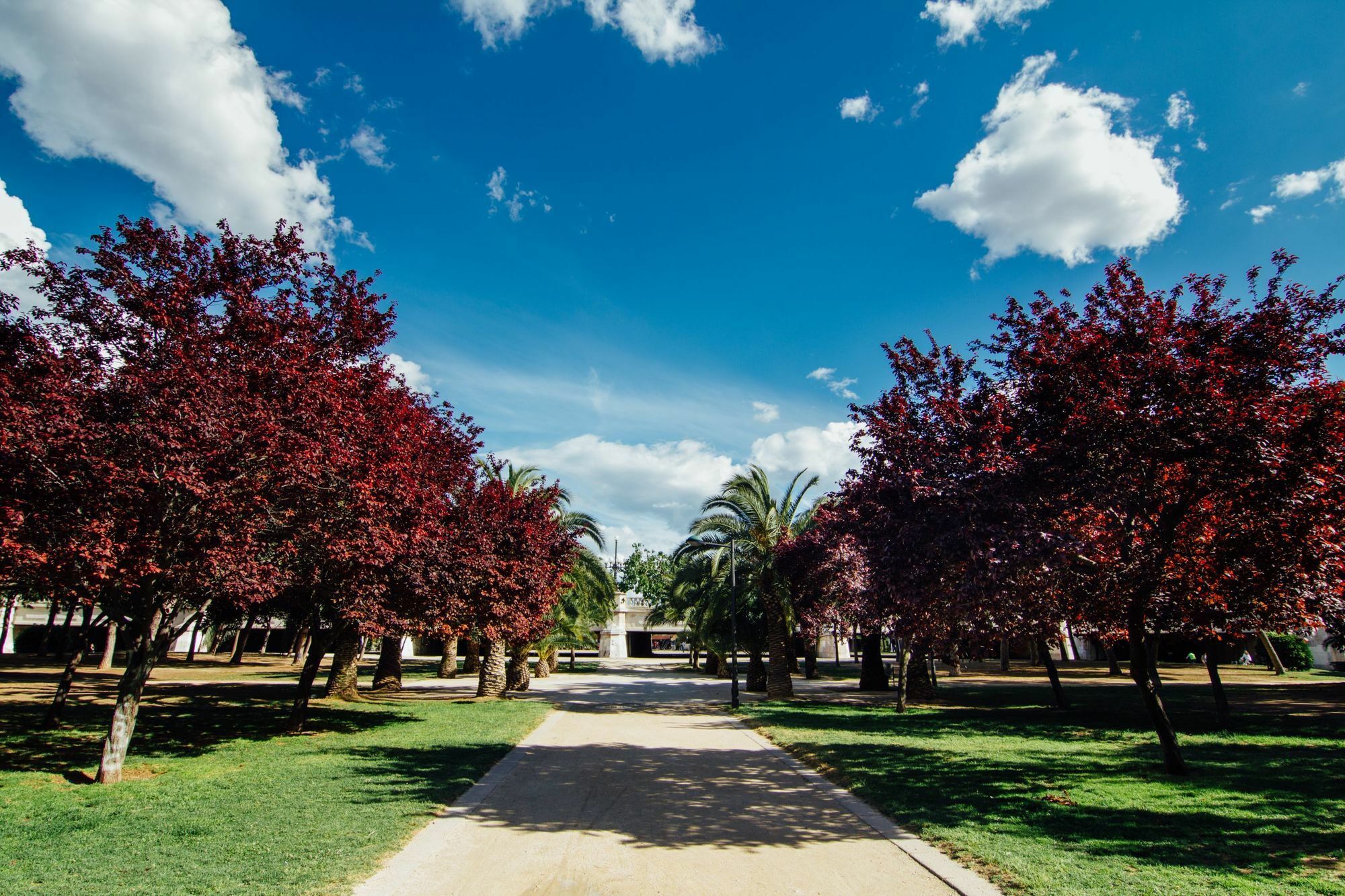 Anderson City Flats Valensiya Dış mekan fotoğraf
